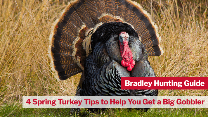 4 Spring Turkey Tips to Help You Get a Big Gobbler